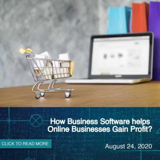 How Business Software helps Online Businesses Gain Profit?