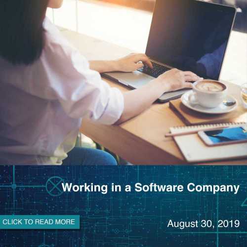 Working in a Software Company