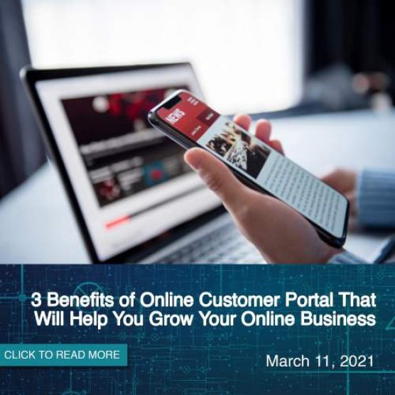 3 Benefits of Online Customer Portal That Will Help You Grow Your Online Business