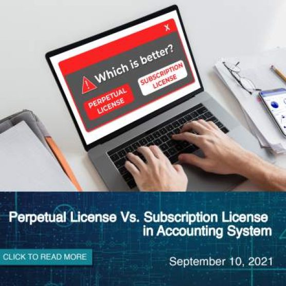 Perpetual License Vs. Subscription License in Accounting System