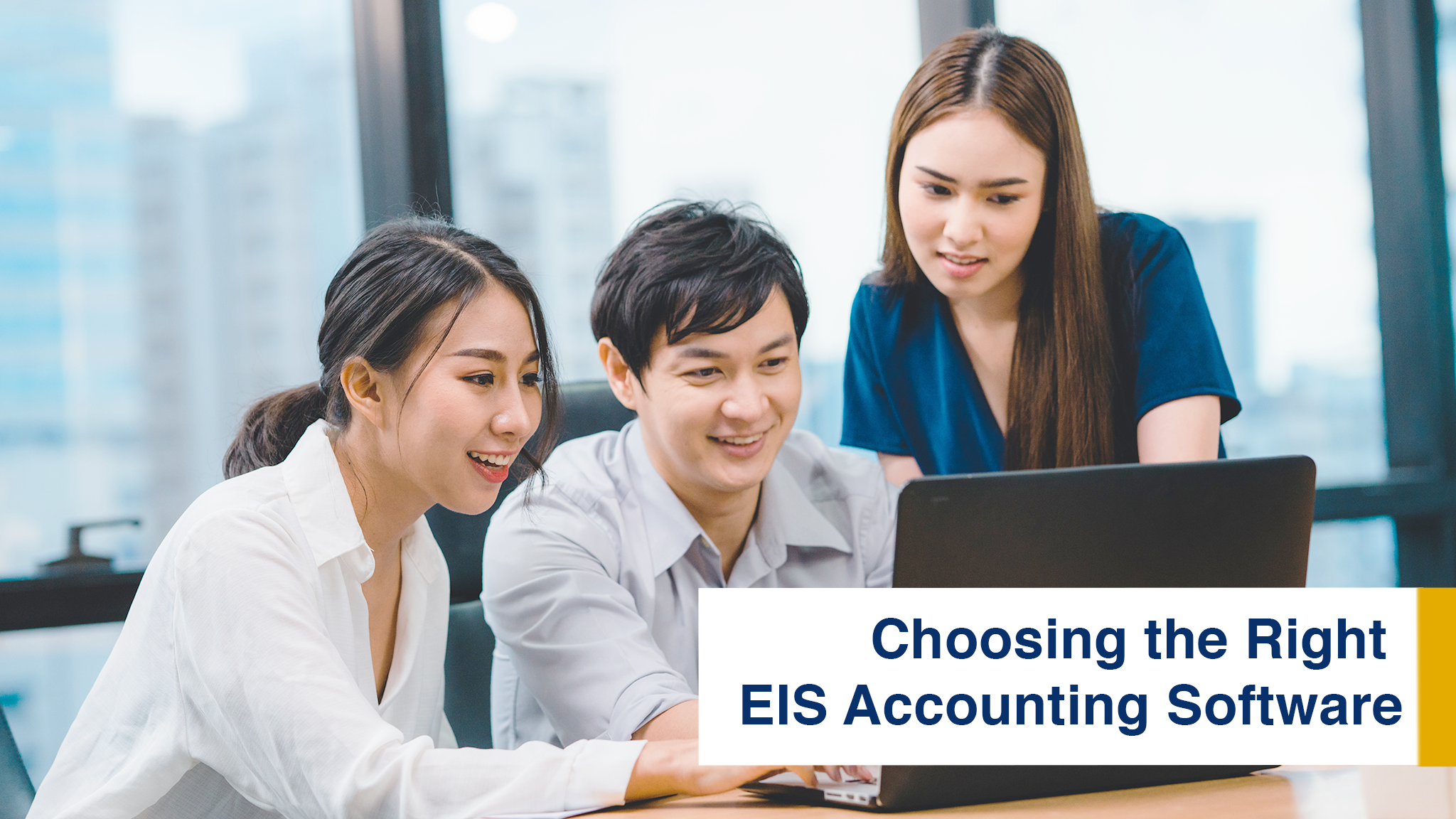 EIS Accounting Software
